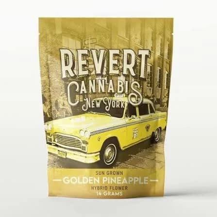 Revert | Flower | Golden Pineapple | 14 (H) by Revert
