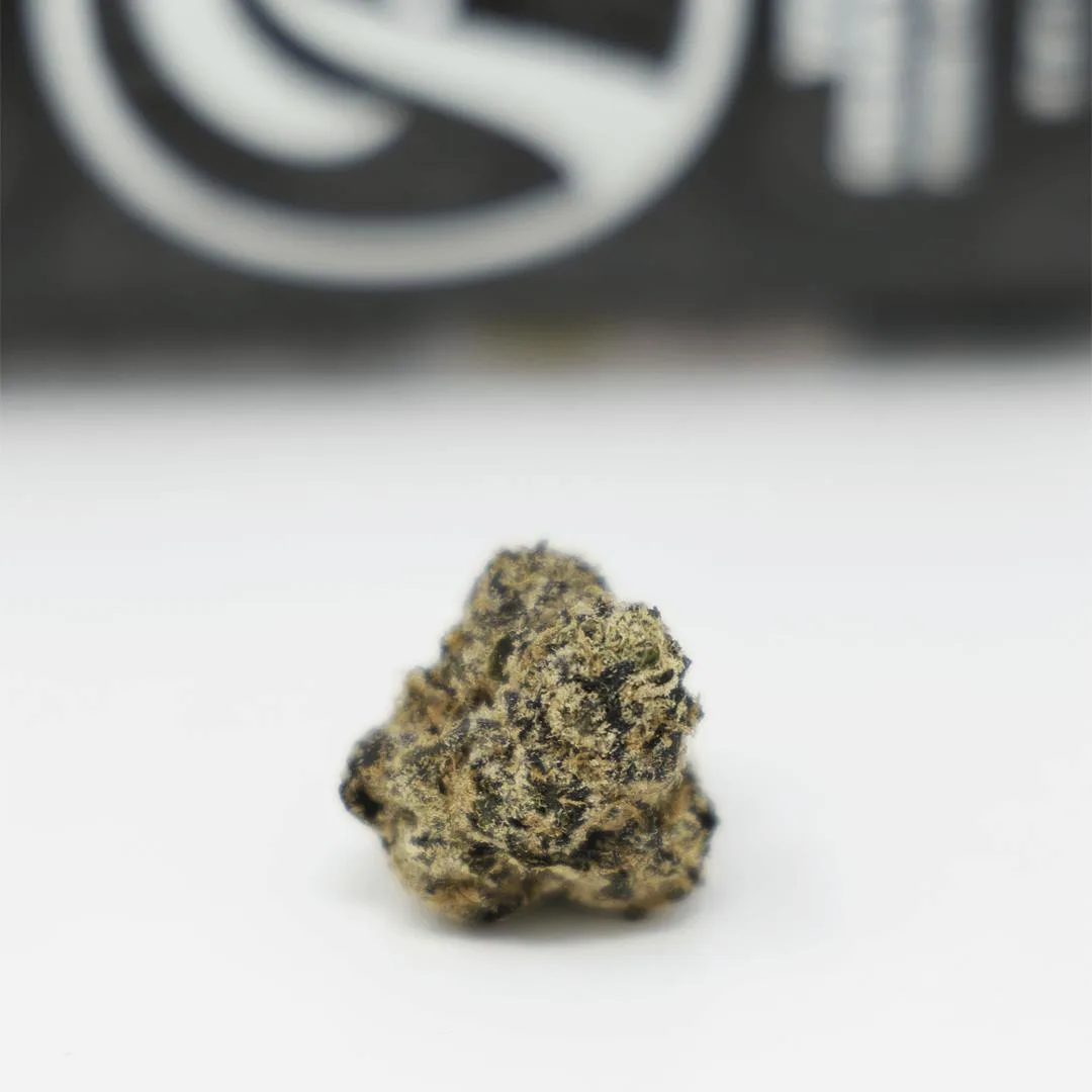 Runtz | White Cherry Runtz | 3.5g jar (H) by Runtz
